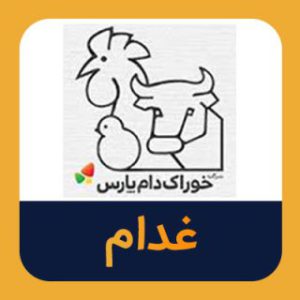 تحلیل تکنیکال غدام